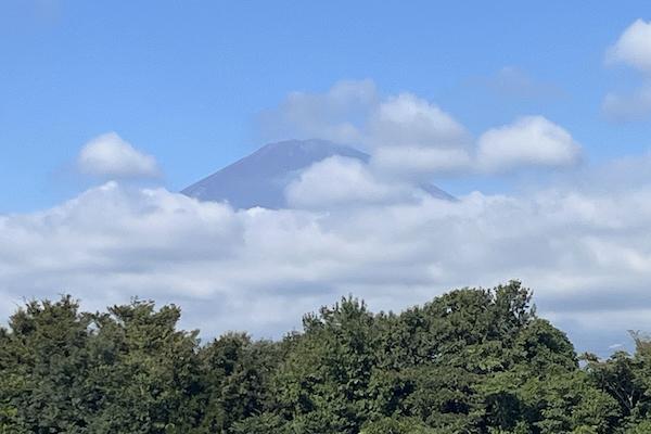 足柄SA西行から見る富士山