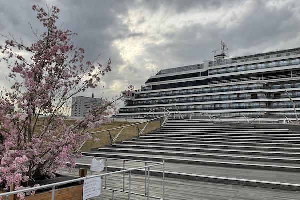 Westerdam at Osanbashi pier